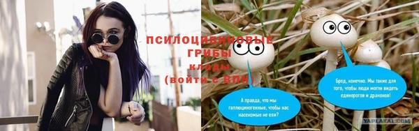 тгк Абинск