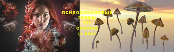 тгк Абинск