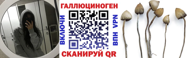 Псилоцибиновые грибы Cubensis  Лесозаводск 