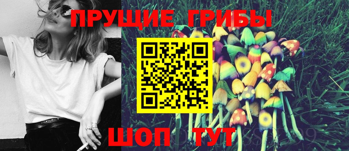Лесозаводск  наркотики  Галлюциногенные грибы Magic Shrooms  Вход с VPN  Галлюциногенные грибы Cubensis 